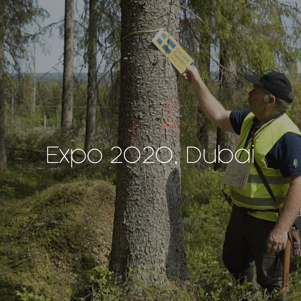 Expo2020_kund_30%svart+text